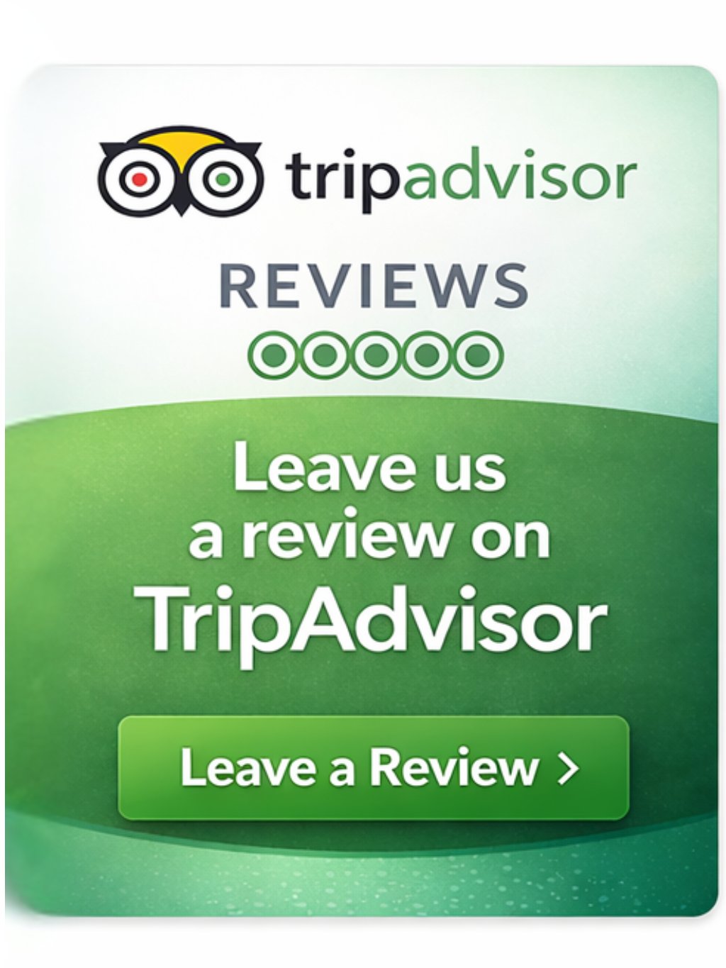TripAdvisor review